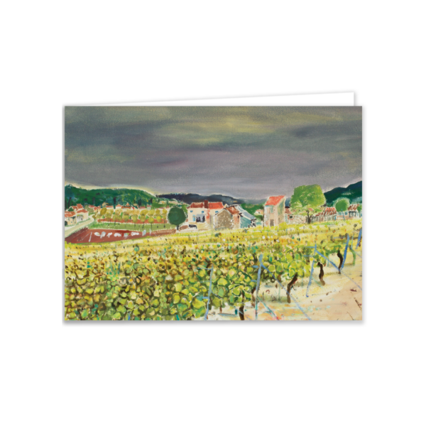 Vineyards, Anglars, Juillac - Image 2