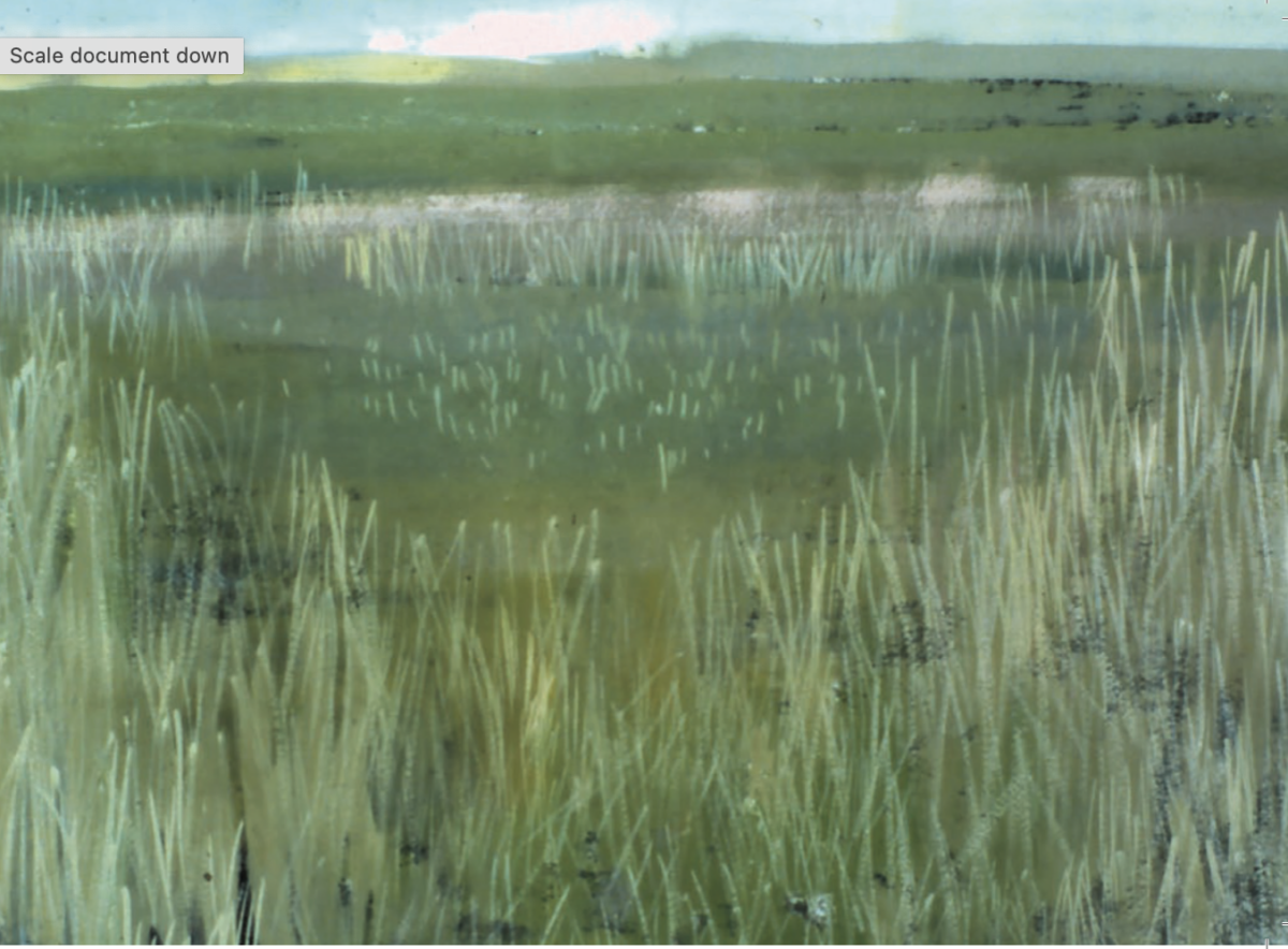 Artists on Cards Ltd SA019-for-web The Marshes, Walberswick, Suffolk  