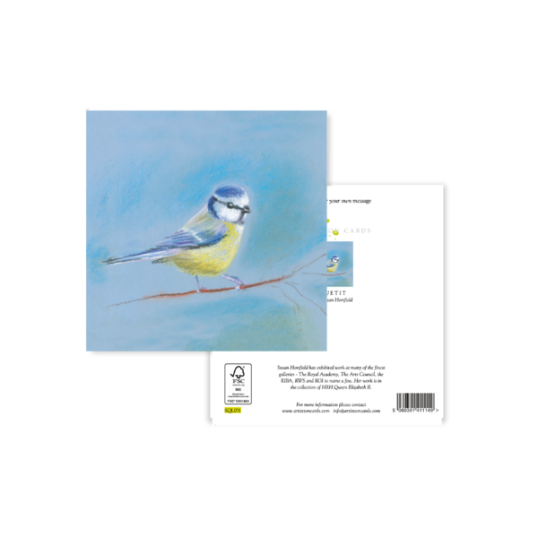 Blue Tit - Image 3