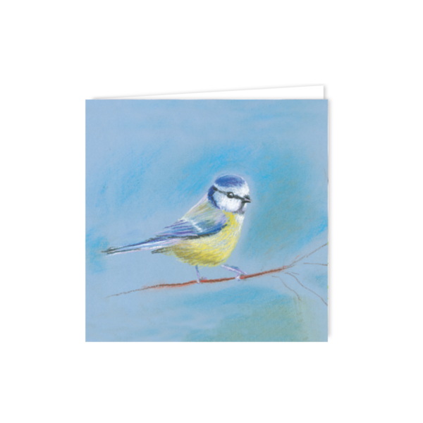 Blue Tit - Image 2