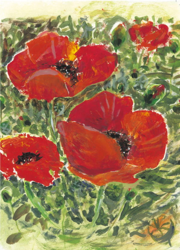 Full Bloom Poppies