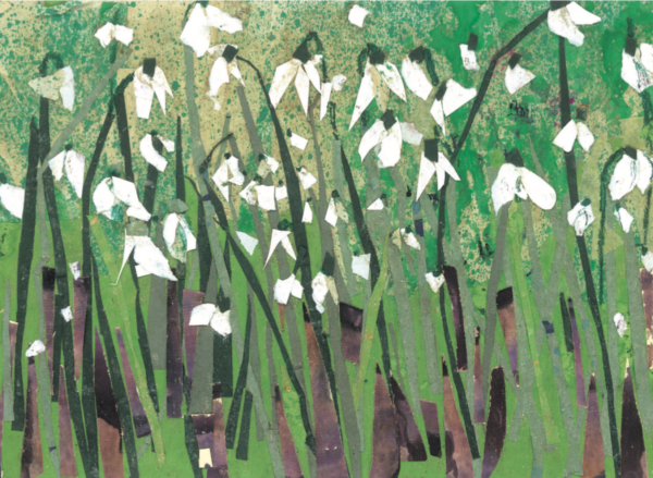 Snowdrops in Spring Collage