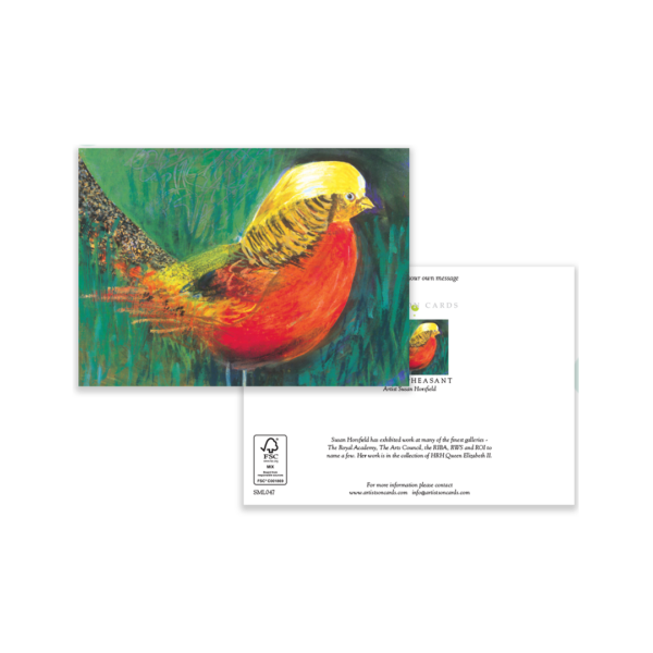 Golden Pheasant - Image 3