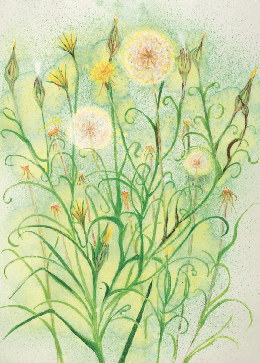 Artists on Cards Ltd SML112 Dandelion Seed Heads  