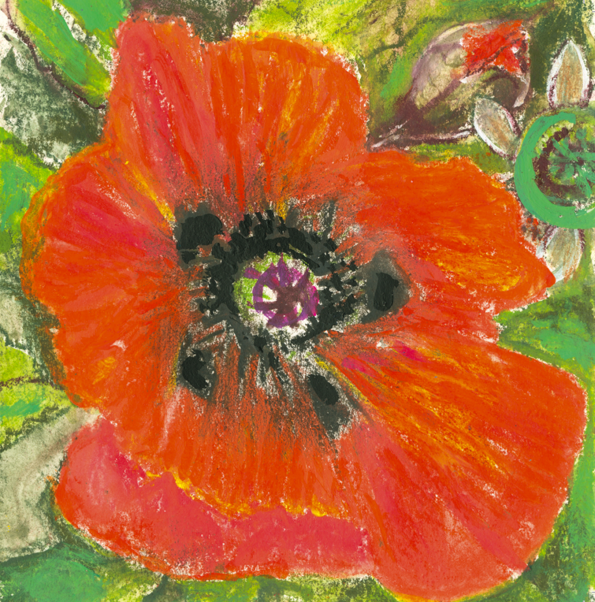 Artists on Cards Ltd SQL112 Poppy Flower Power  