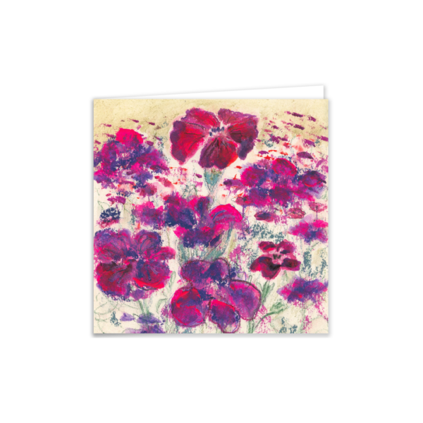 Lychnis Coronaria - Image 2