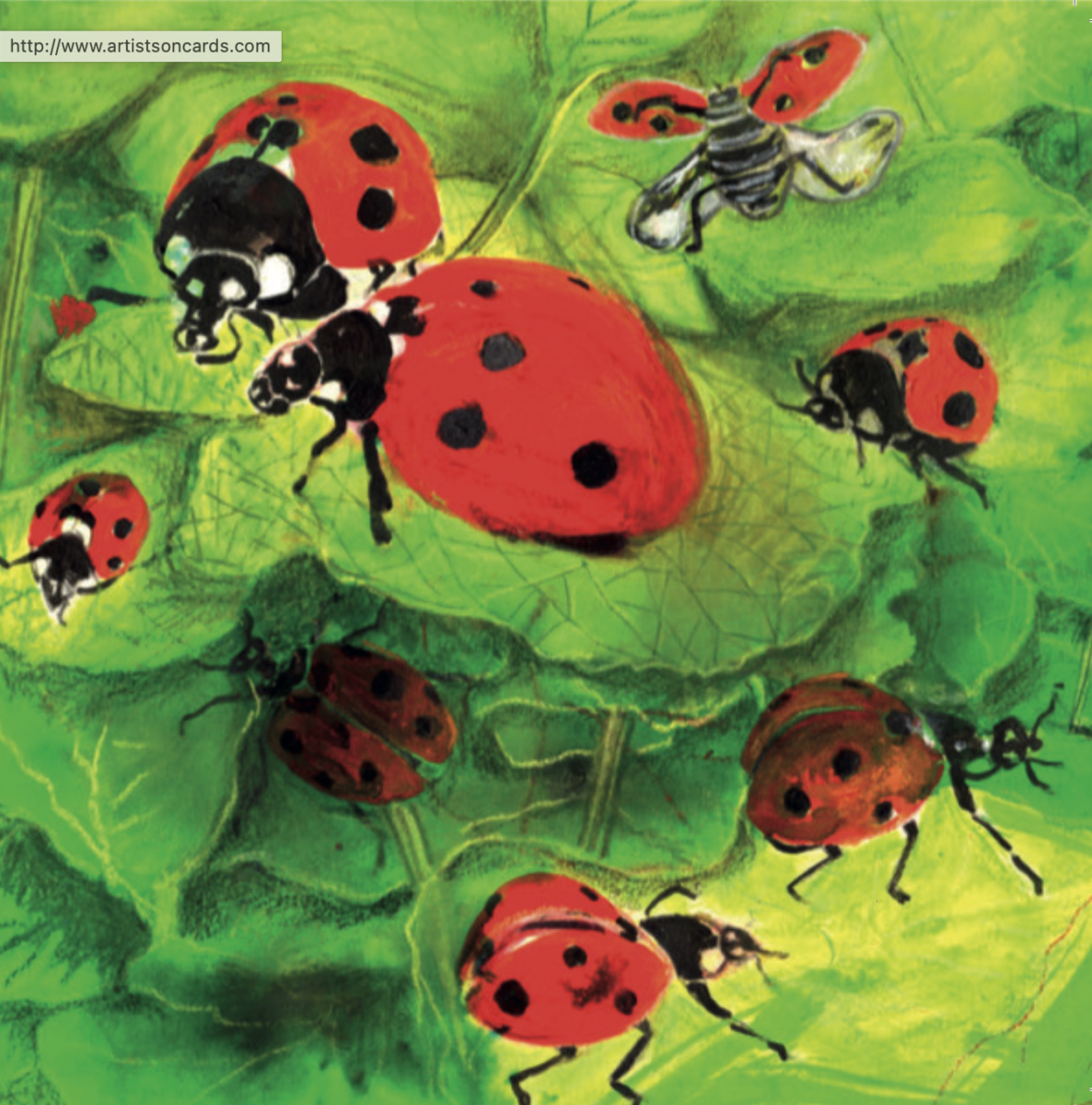 Artists on Cards Ltd SQL206-for-web Ladybirds  