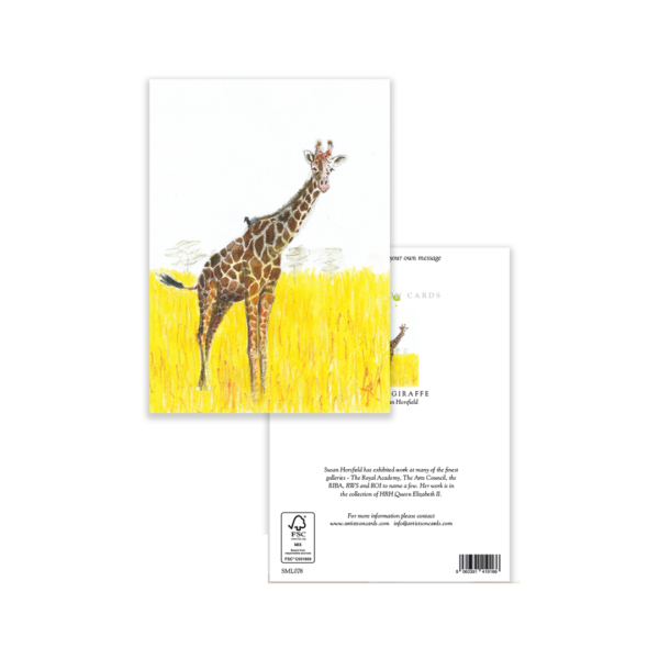 Massai Giraffe - Image 3