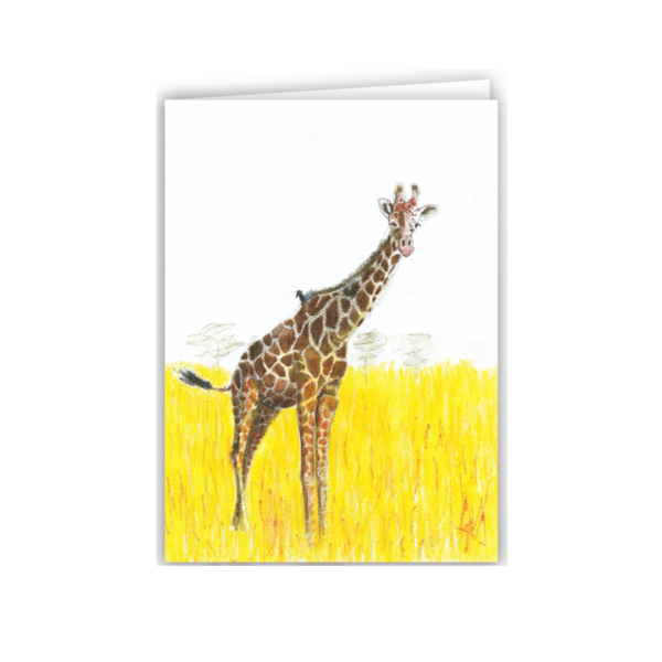 Massai Giraffe - Image 4