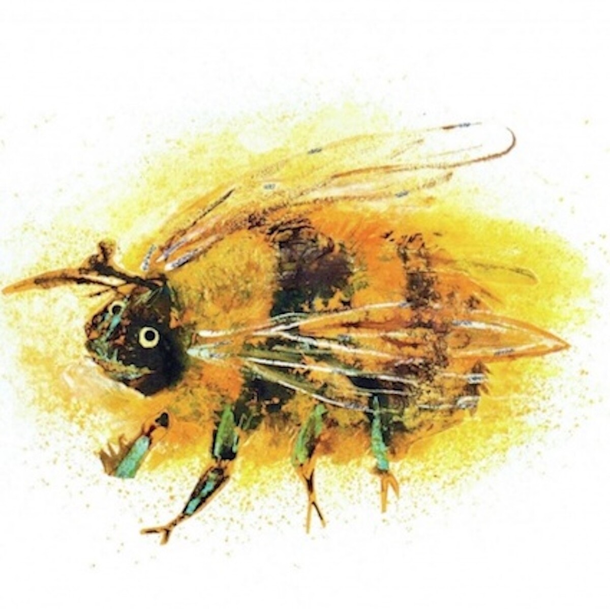 Artists on Cards Ltd SQL026-for-web Bumble Bee  