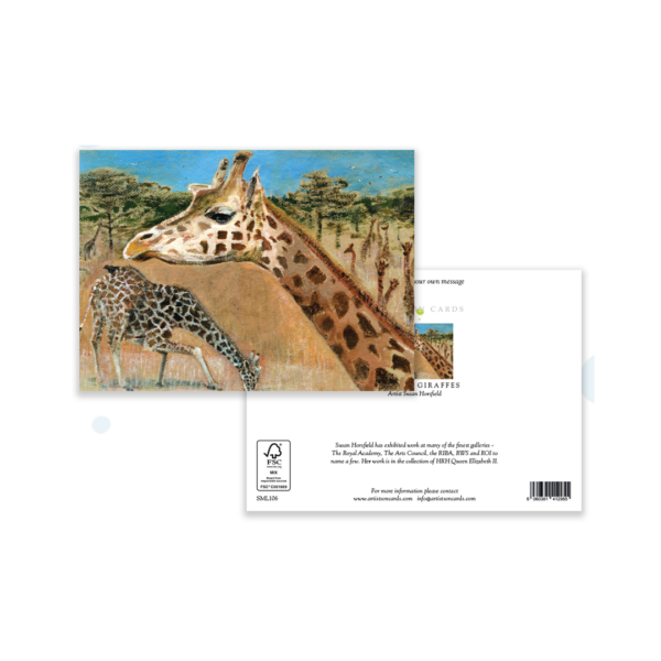 Angolan Giraffes - Image 3