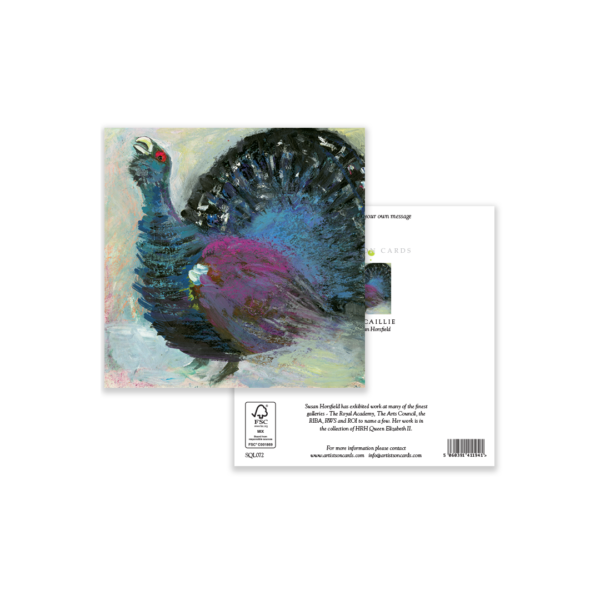 Capercaillie - Image 3