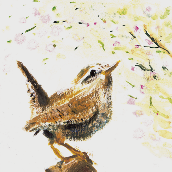 Jenny Wren