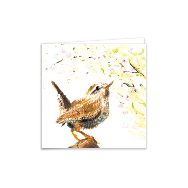 Jenny Wren - Image 4