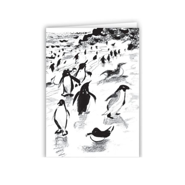 Penguin Gathering - Image 4