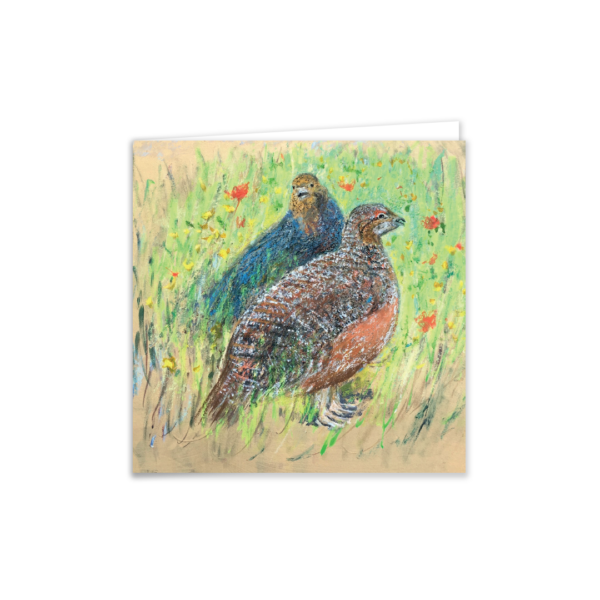 Game Birds - Image 3