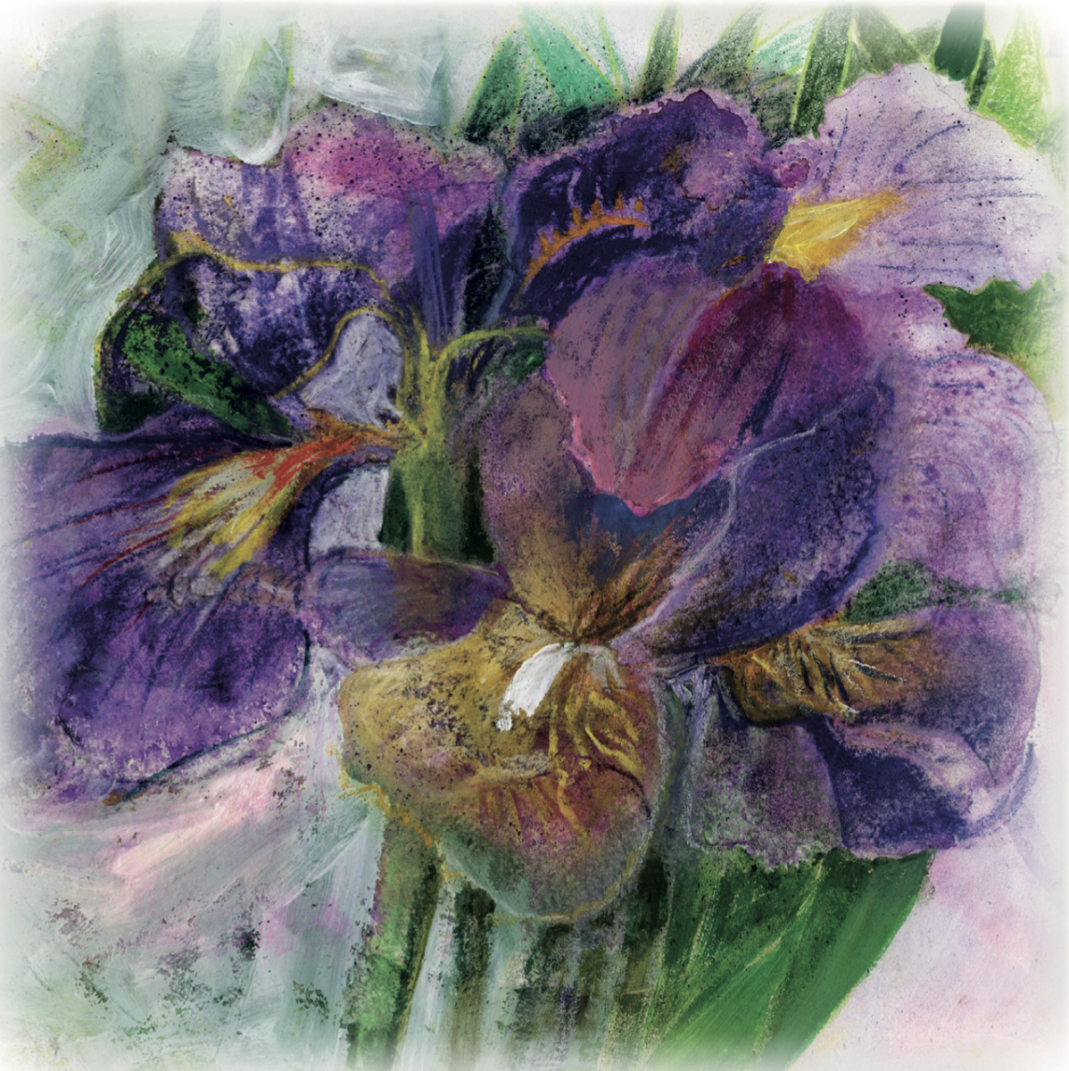 Artists on Cards Ltd SQL500 Purple Iris  