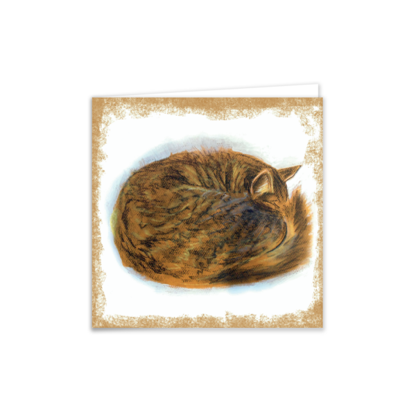 Sleeping Cat - Image 4