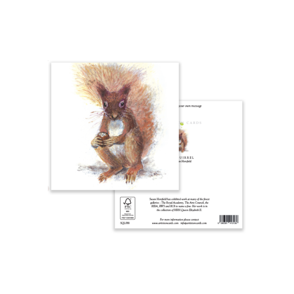 Red Squirrel - Image 3