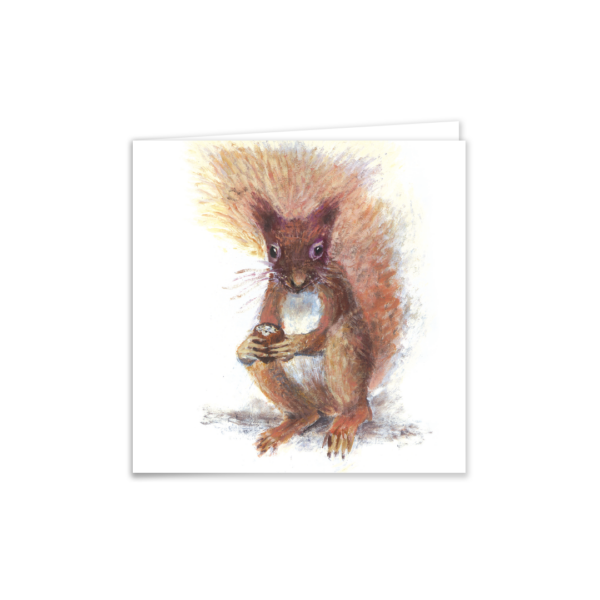 Red Squirrel - Image 4