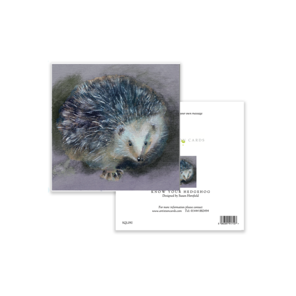 Know your Hedgehog - Image 3