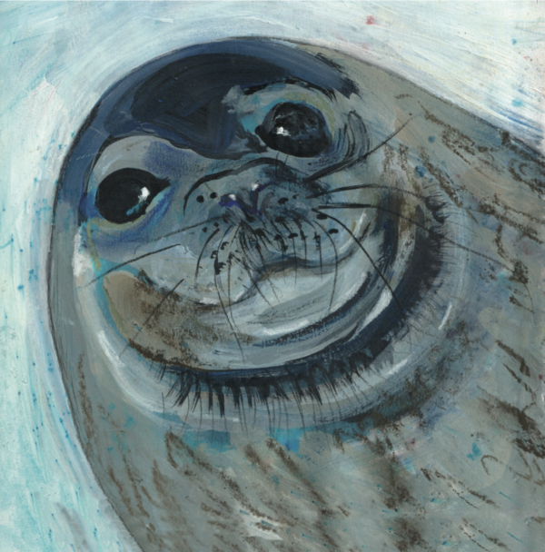 Salty The Seal