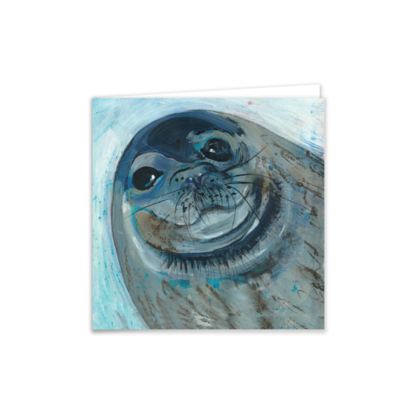 Salty The Seal - Image 2