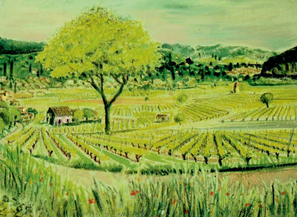 Vineyards, St Juliet, Lot Valley