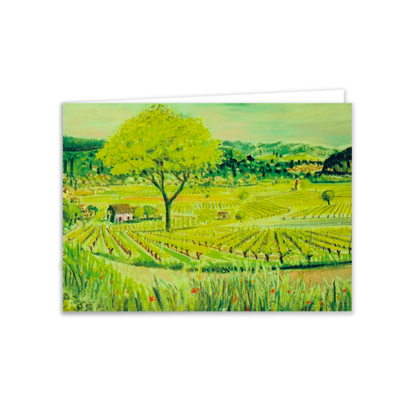 Vineyards, St Juliet, Lot Valley - Image 4