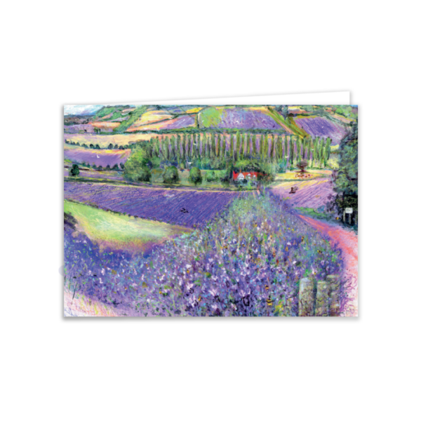 Lavender Fields, Shoreham Valley - Image 2