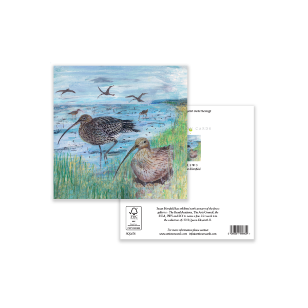 Curlews - Image 3