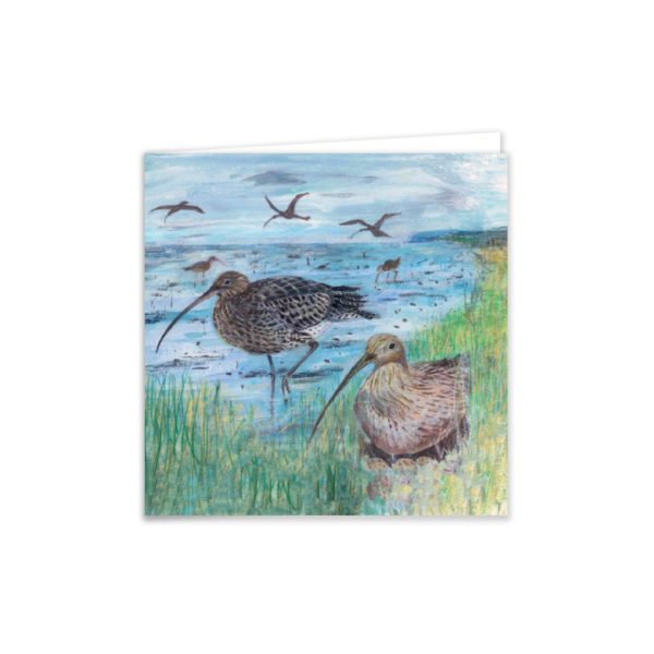 Curlews - Image 4