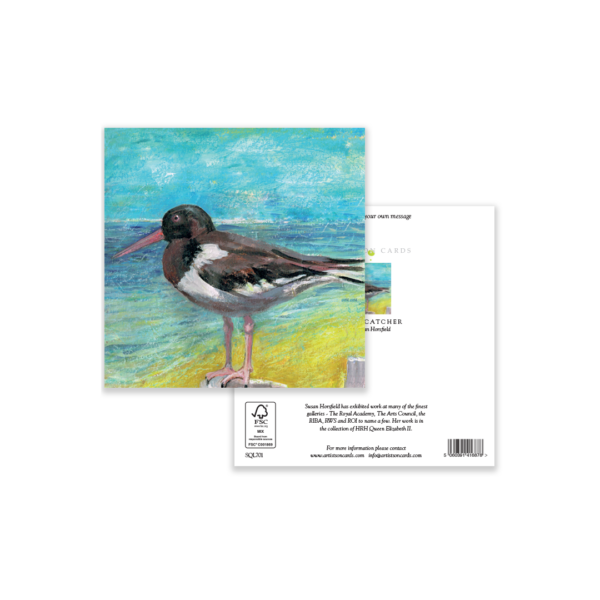 Oyster Catcher - Image 3