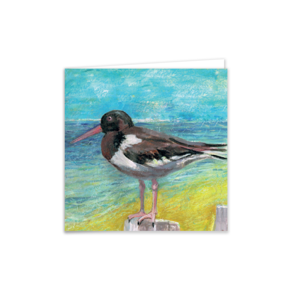 Oyster Catcher - Image 4