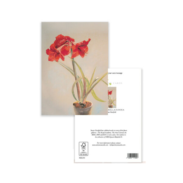 Amaryllis Belladonna Flowers - Image 3