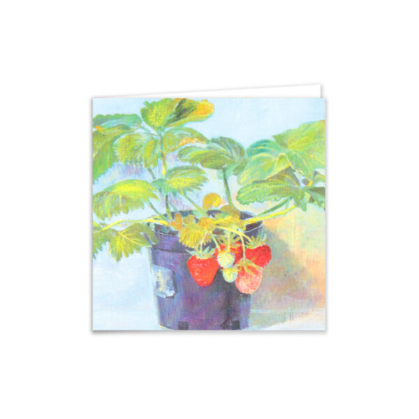 Strawberry Plant - Image 2