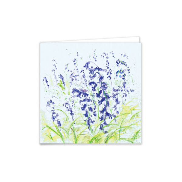 Bluebells - Image 2