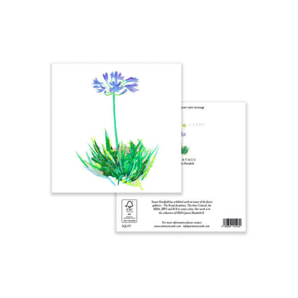 Agapanthus - Image 3