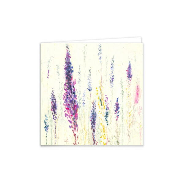 Purple Loosestrife - Image 2