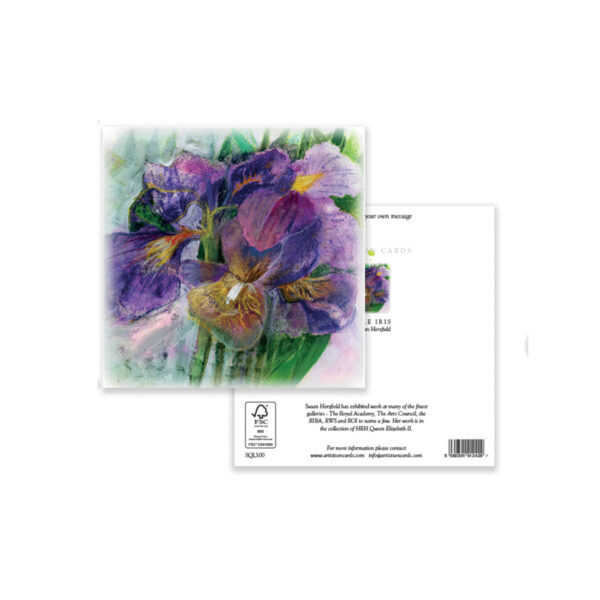 Purple Iris - Image 3